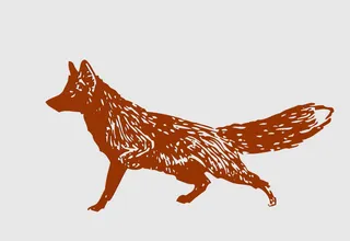 wall art fox