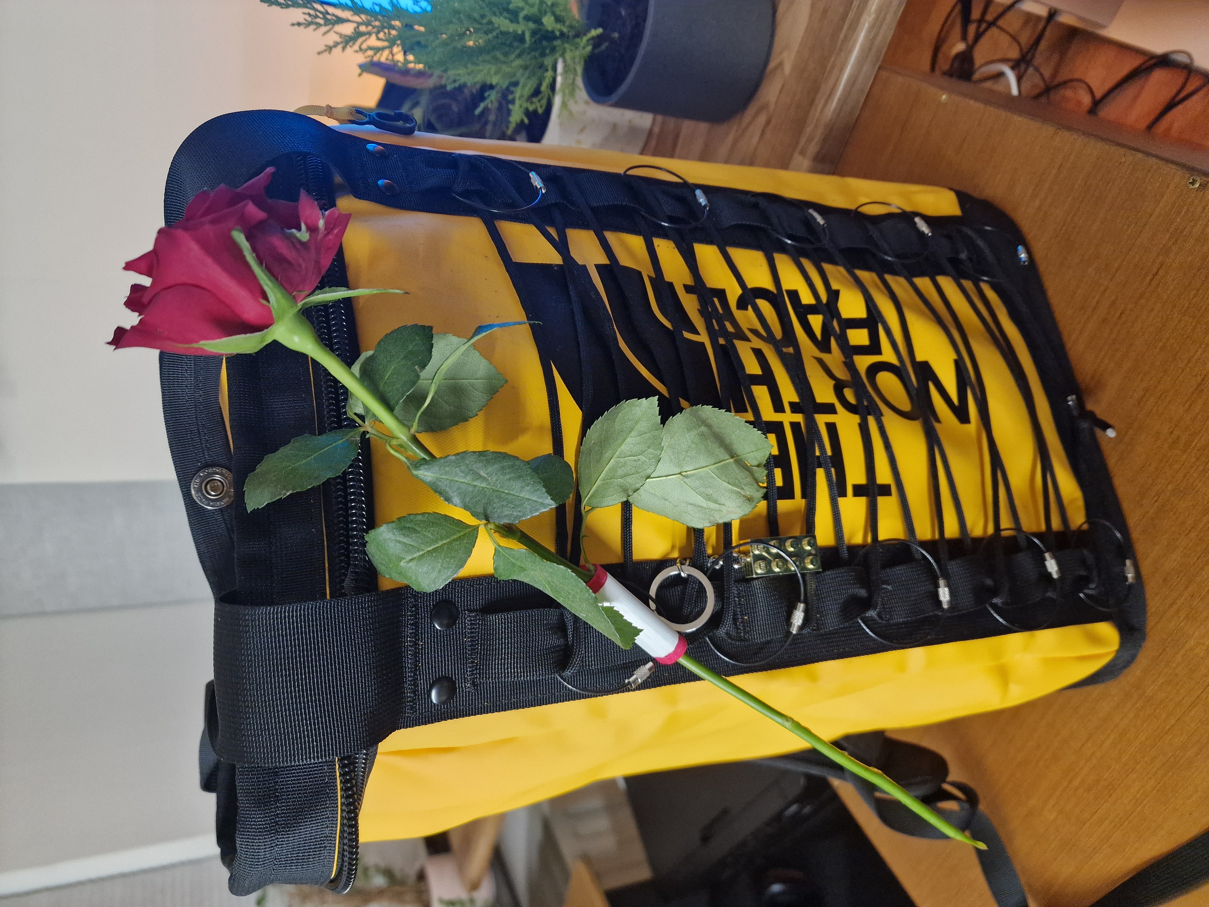 Valentines Rose Backpack Clip