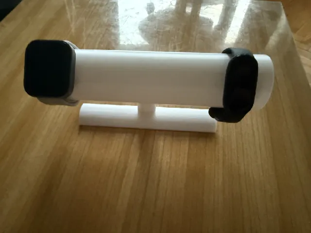 module for watch holder