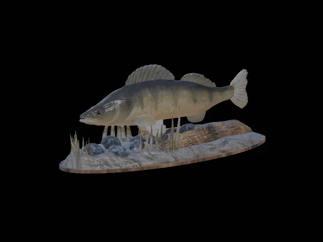 Zander Statue with Base – Design 2.0