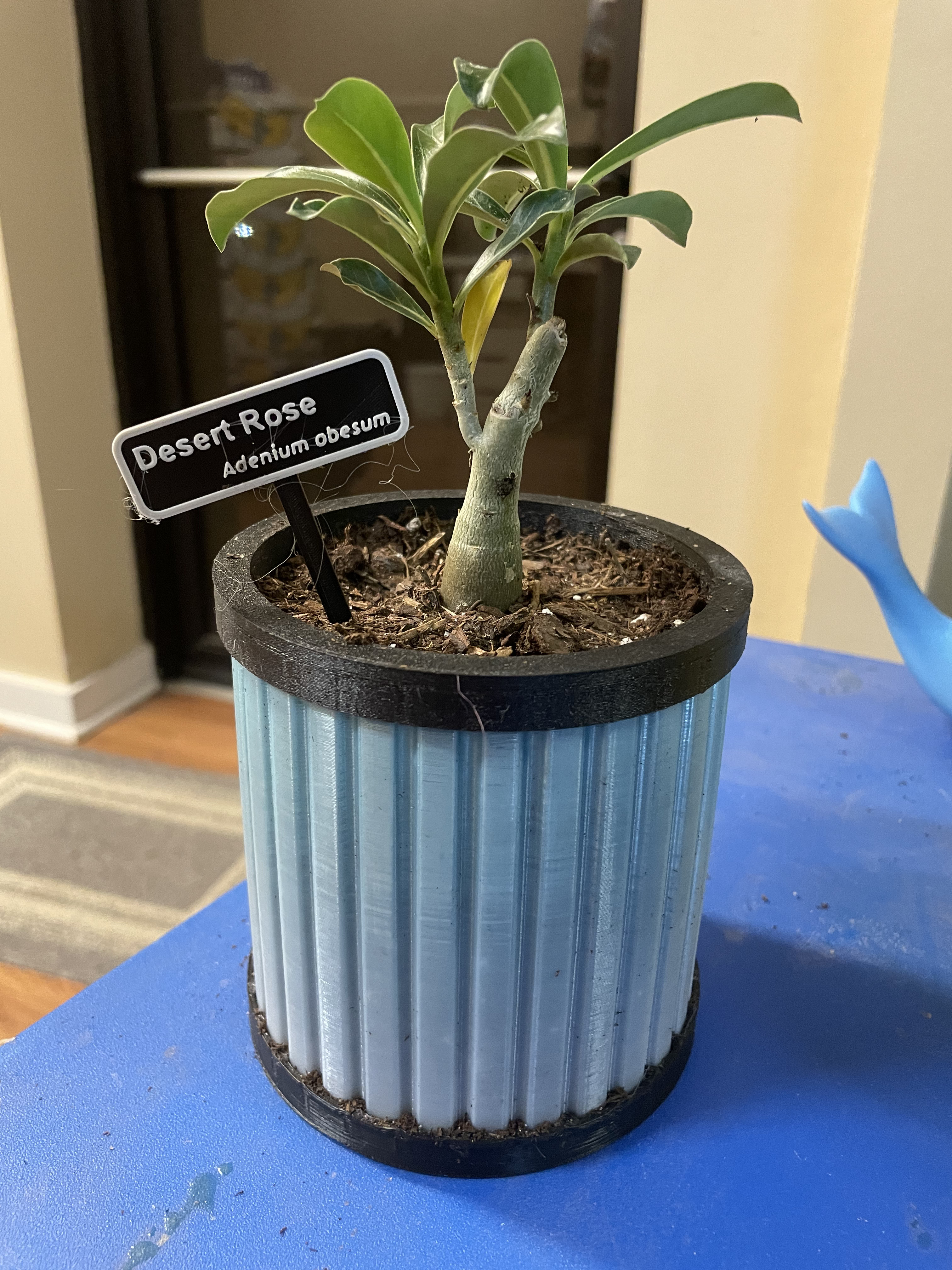 Striped Barrel Planter