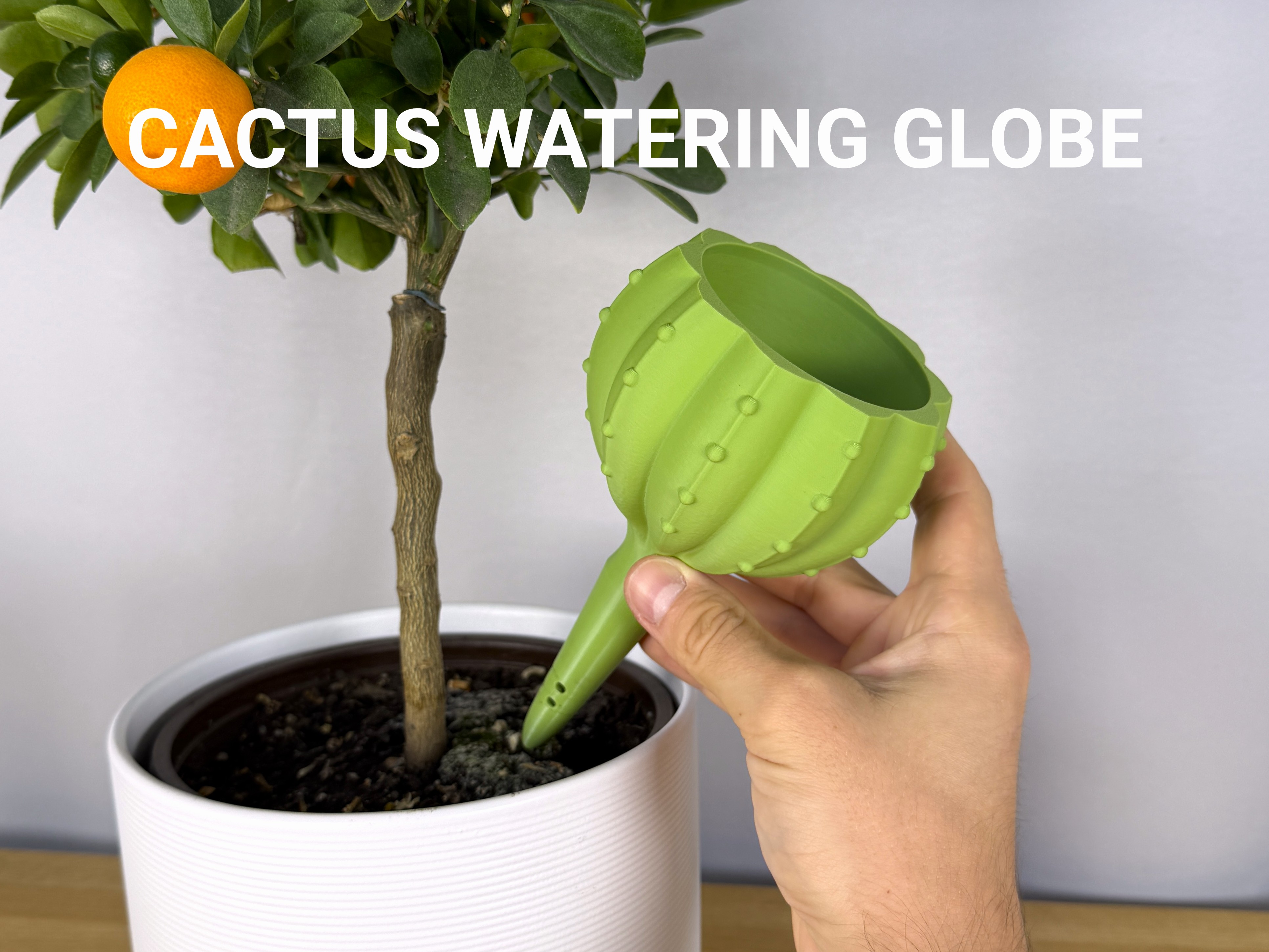 Cactus Plant Watering Globe — STL Grátis | 3DFinder