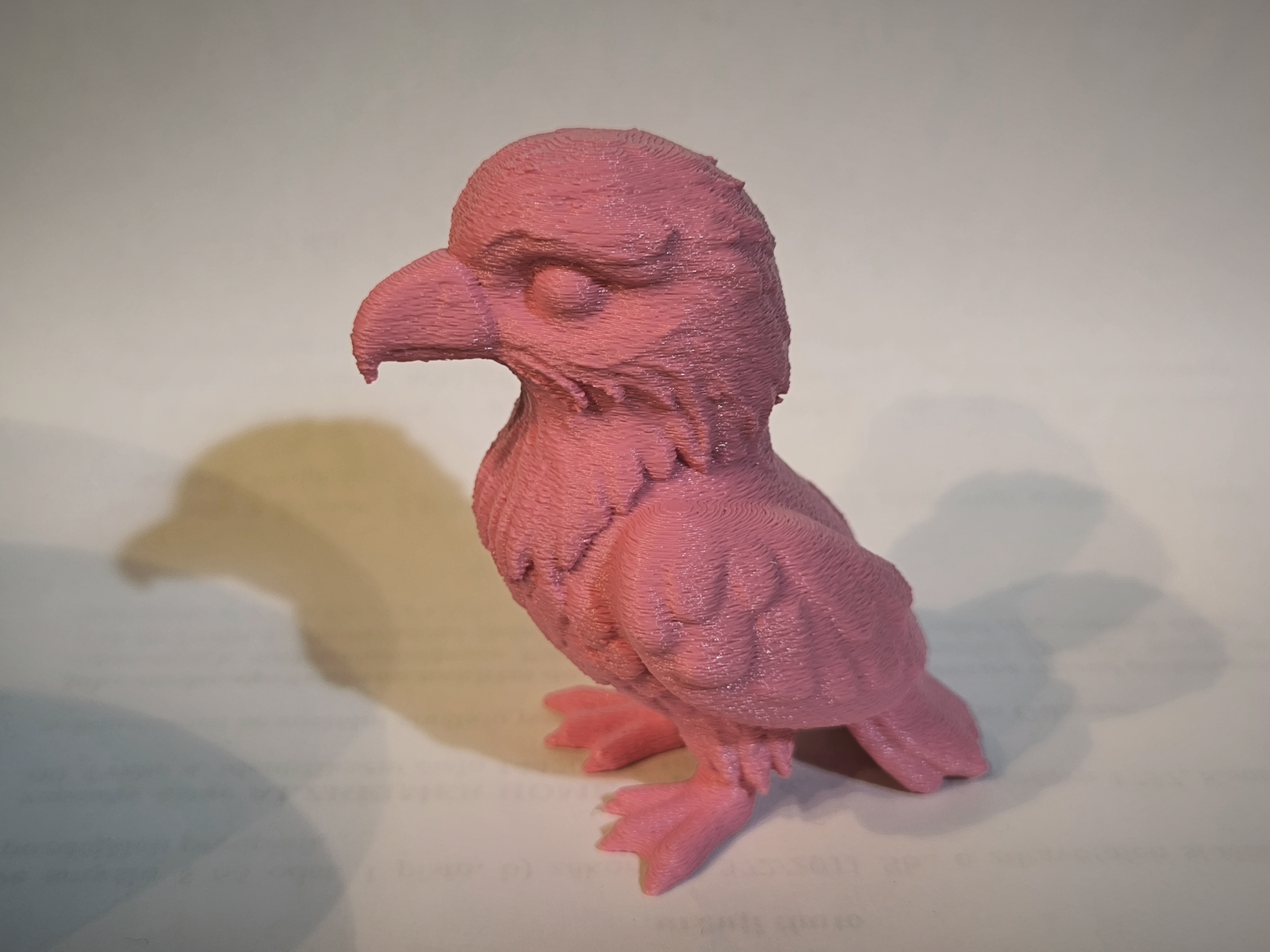 Miniatura 2 do modelo 3D Cute baby Eagle