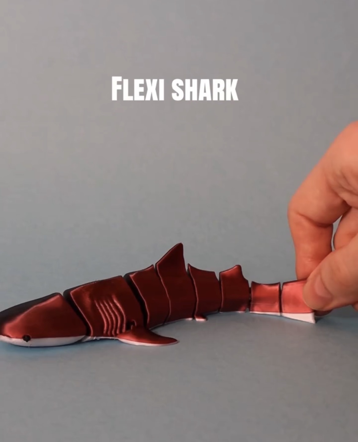 Flexi Whaleshark