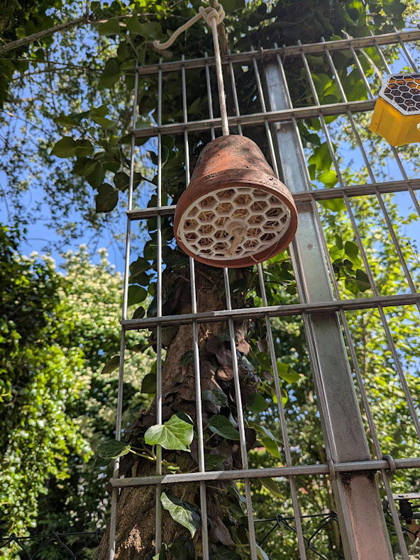Insektenhotel für Ohrwürmer