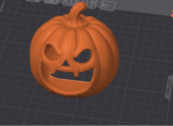 Calabaza Para Acuario
