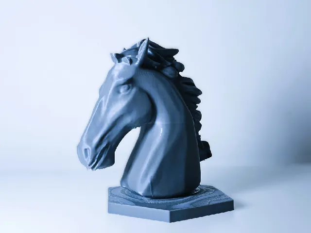 Head of the living horse