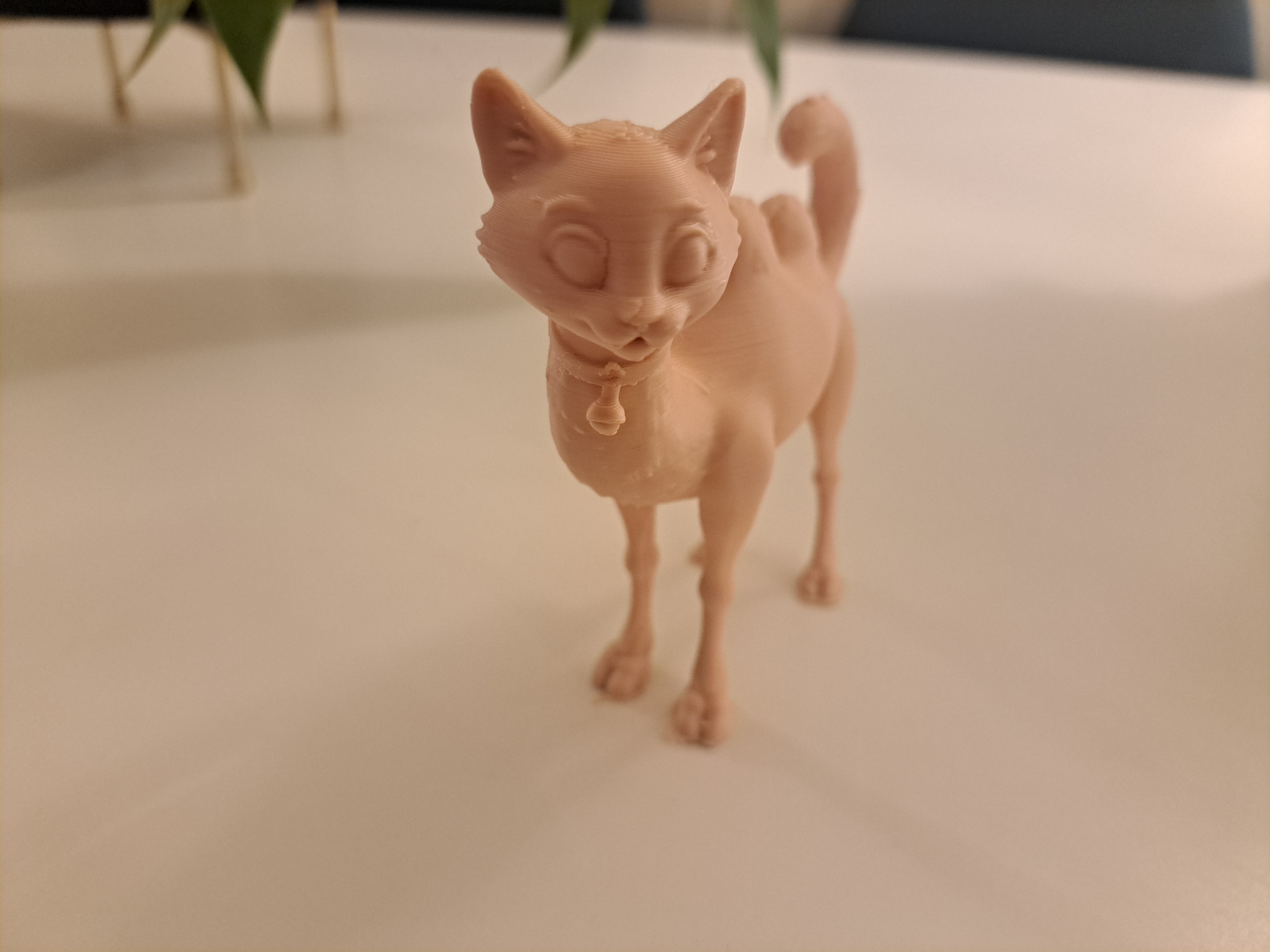 A CamelCat