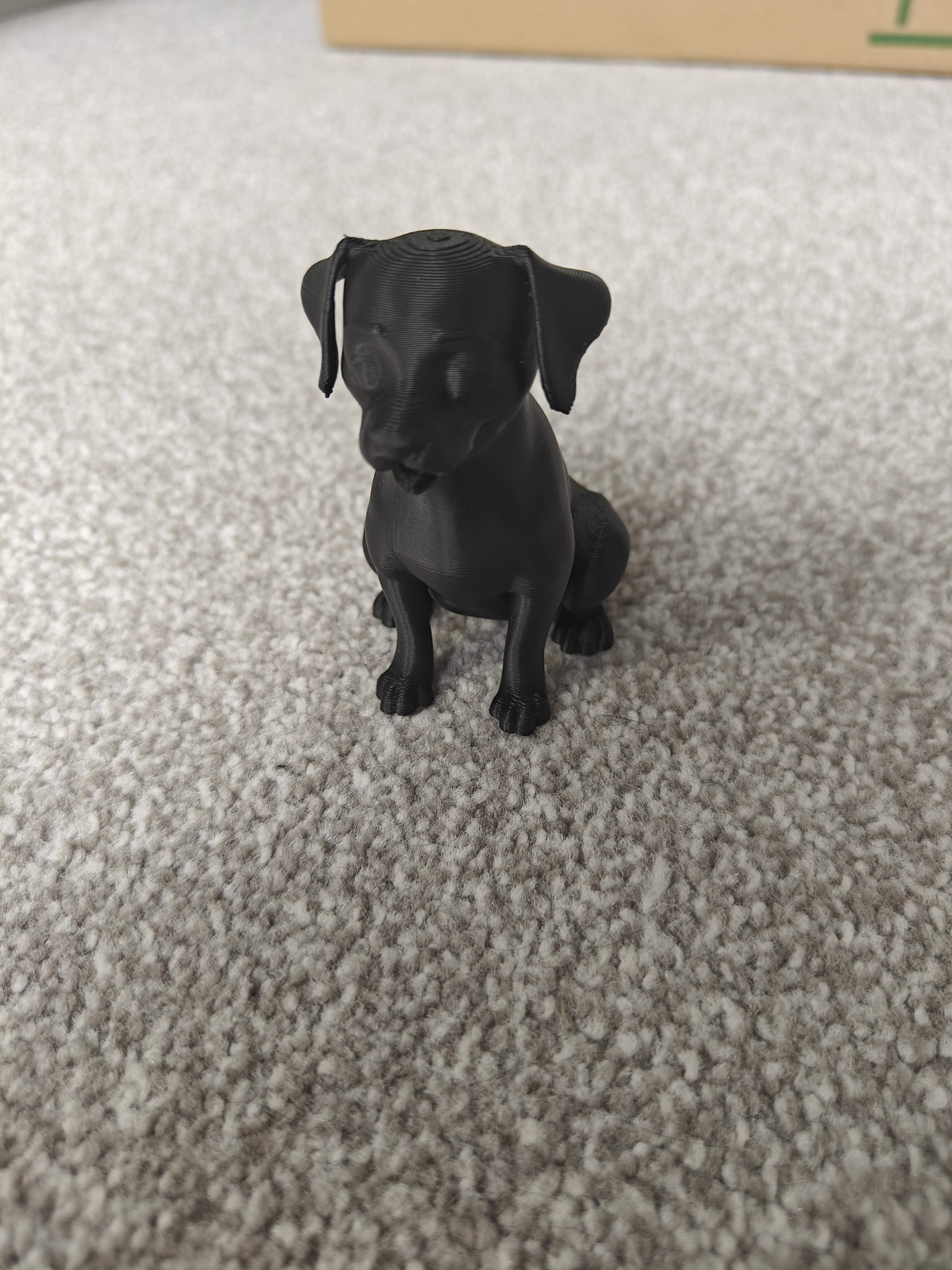 Puppy — miniatura 4
