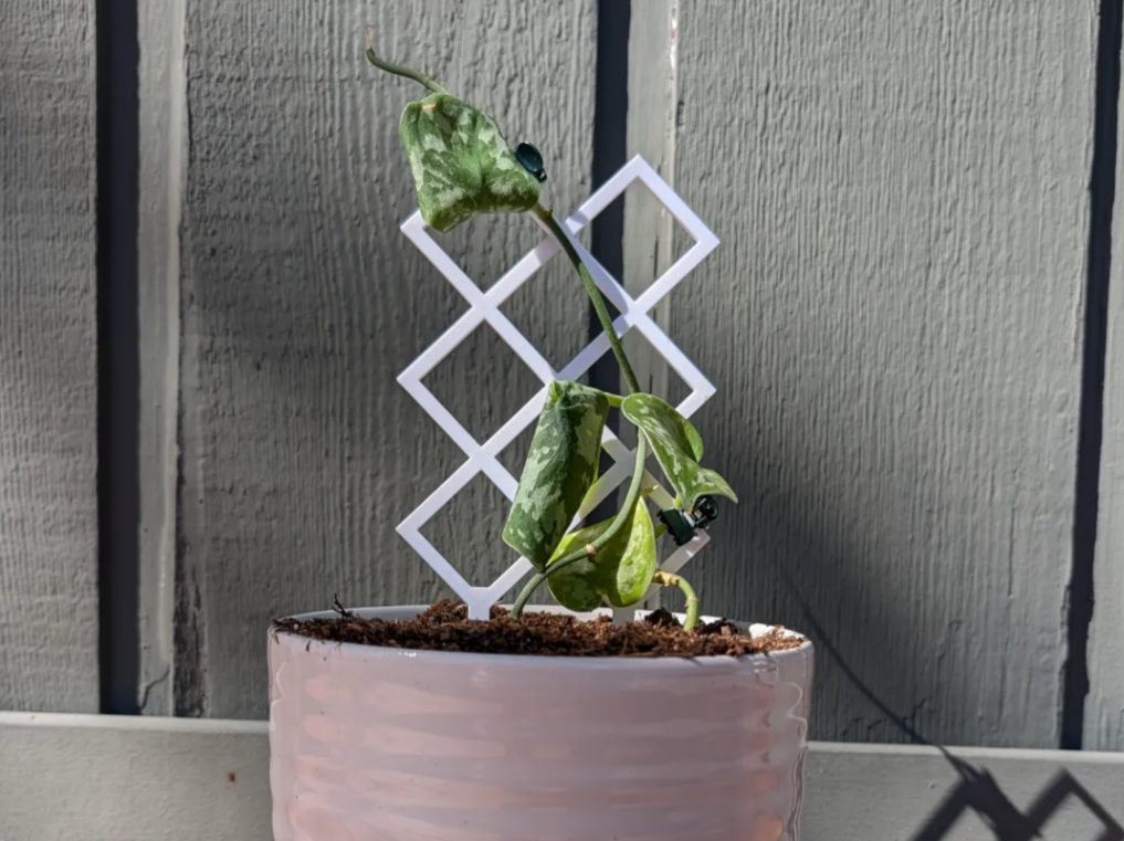Diamond Trellis Plant Supporter