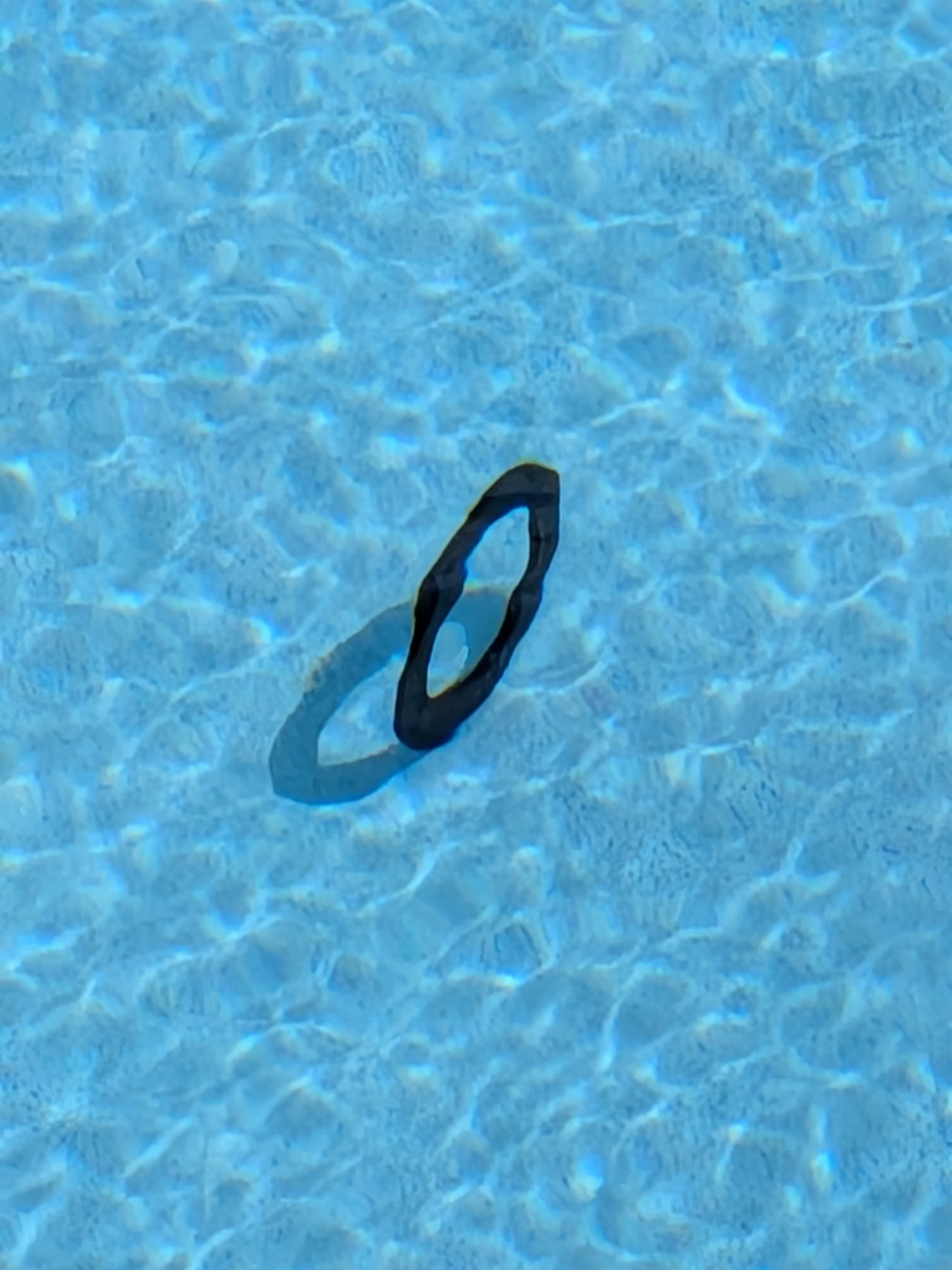 Miniatura 3 do modelo 3D Pool dive ring