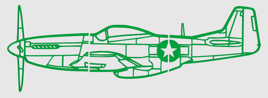 P51 Mustang Wallart
