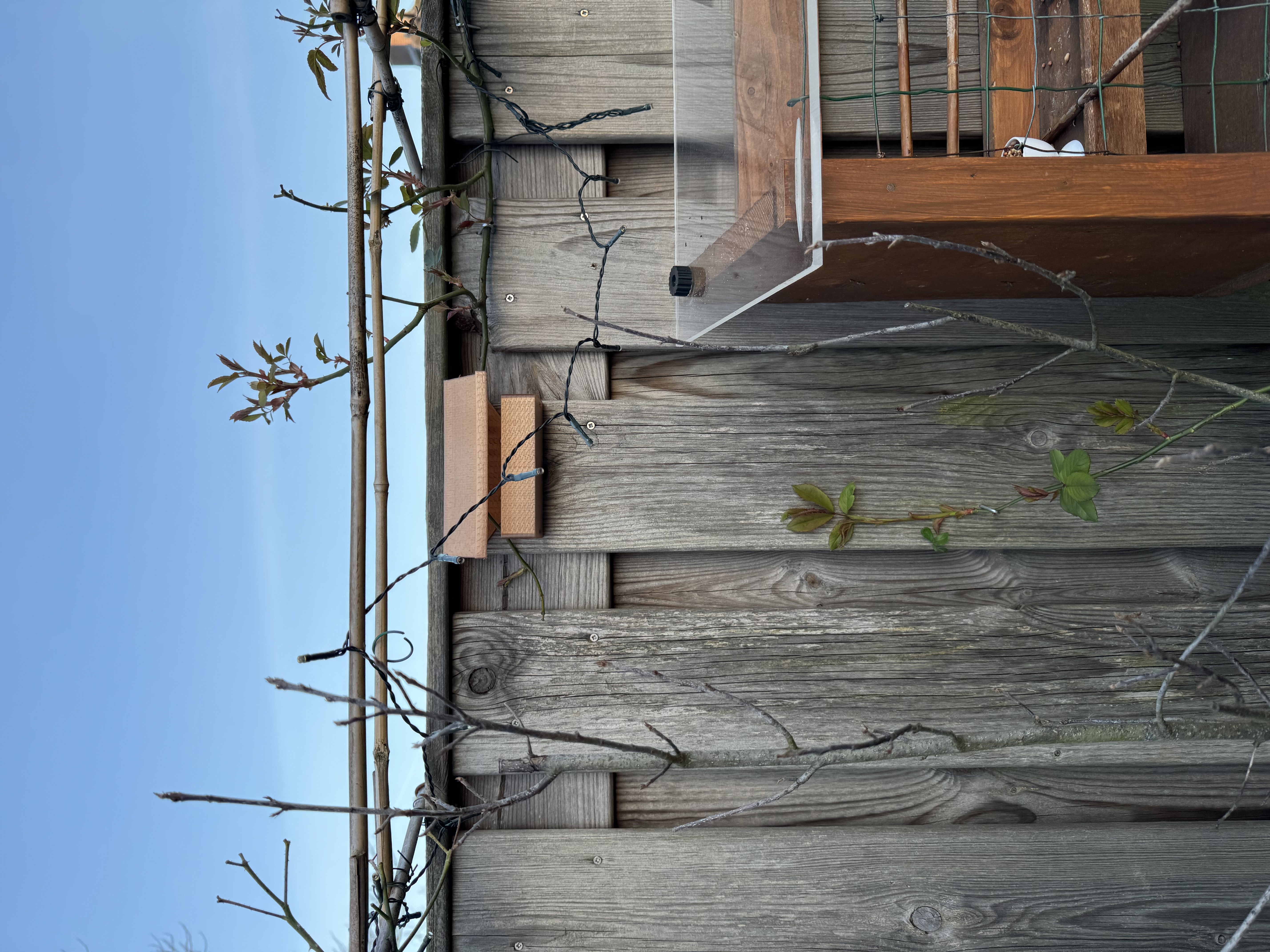 Nesting house