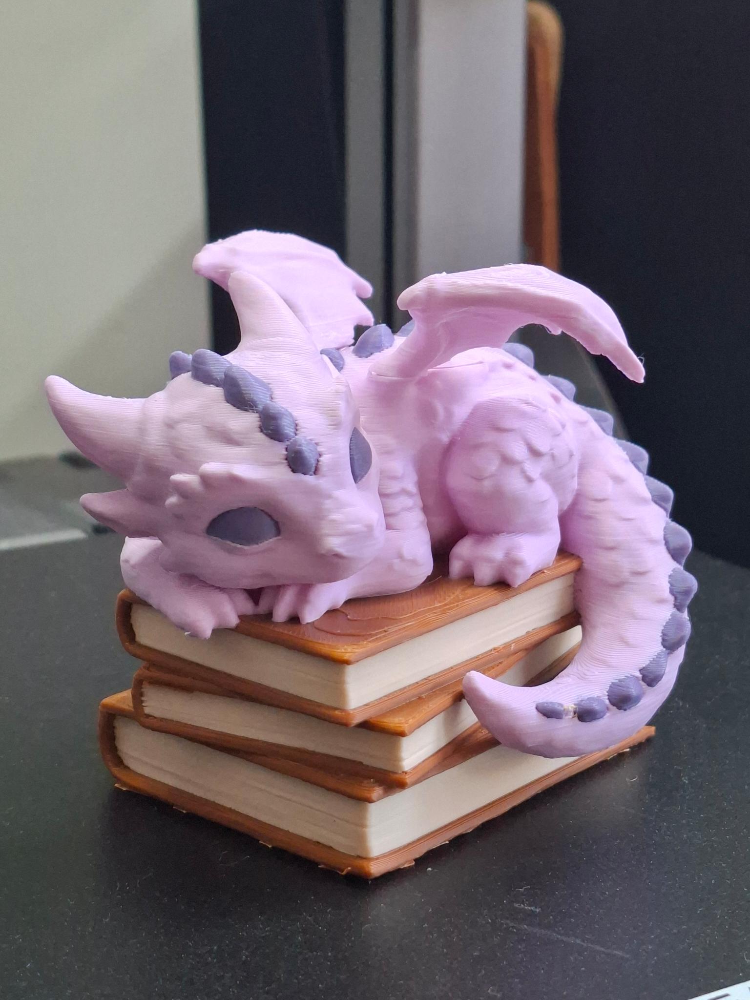 Dragon Sleeping On Books