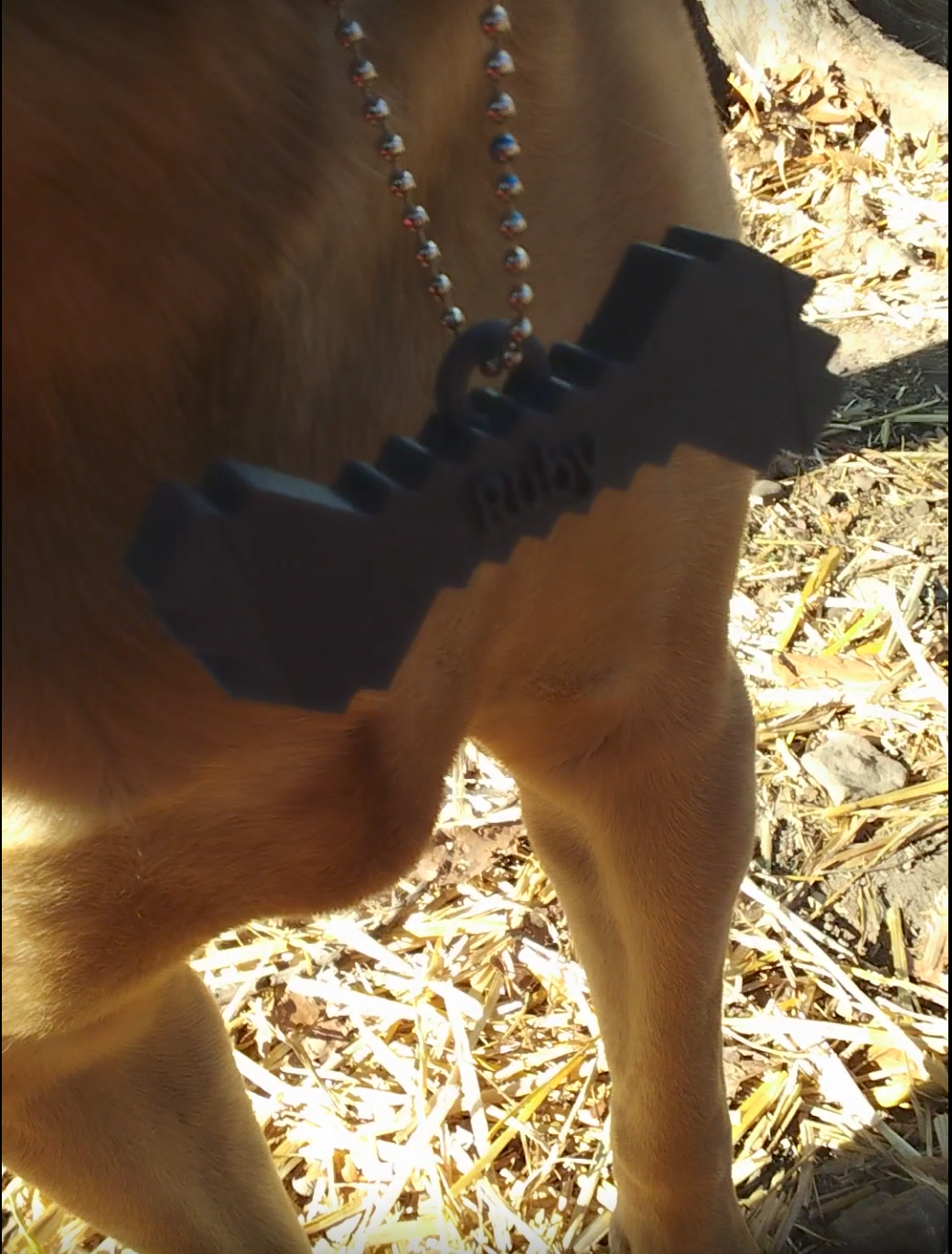 minecraft dog tag READ DESC!