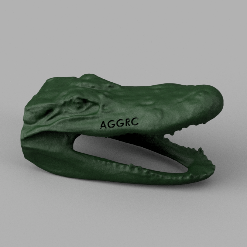 Alligator Head 3D Scan