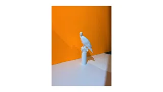 Image preview