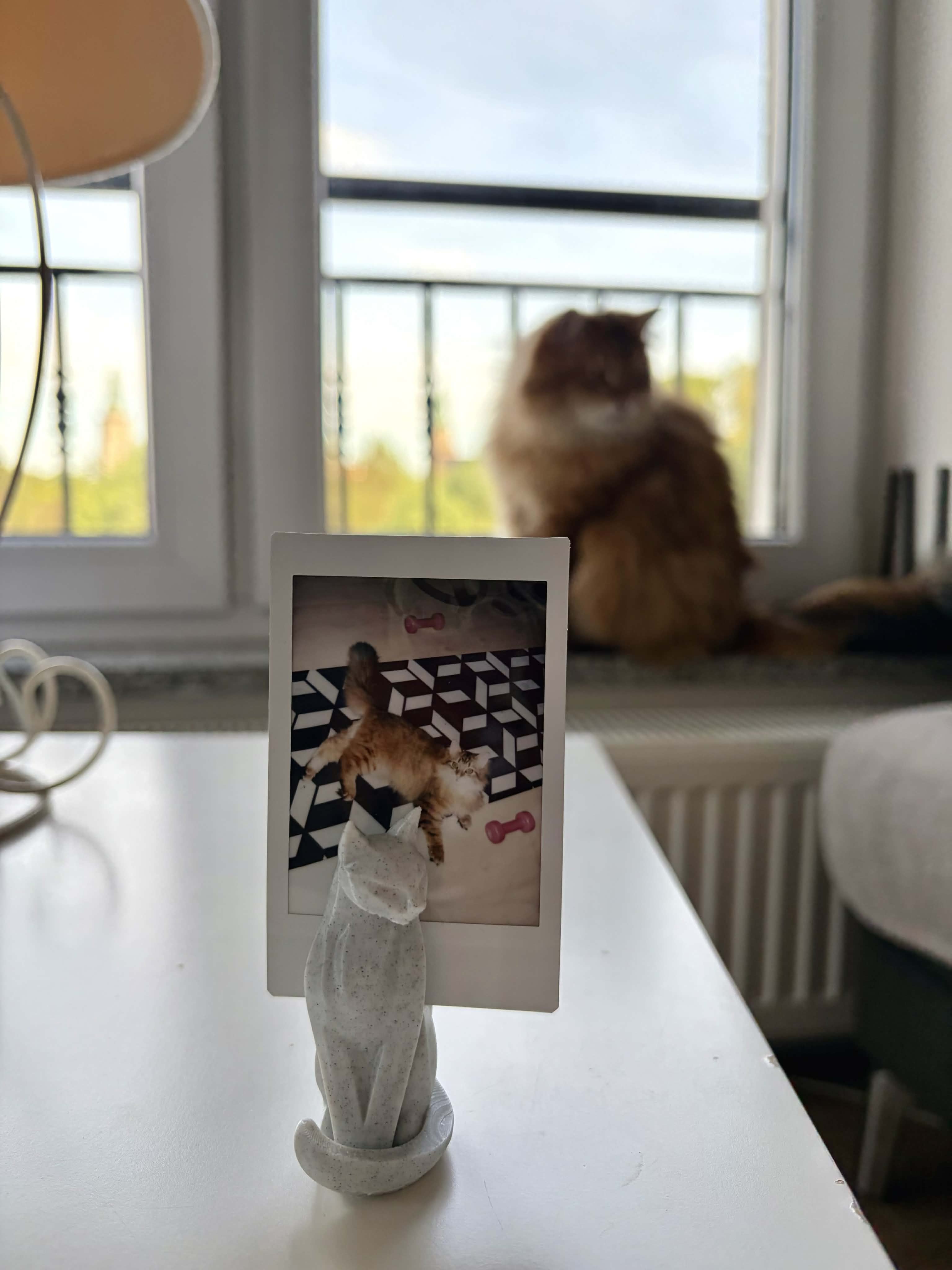 Sitting cat photo holder
