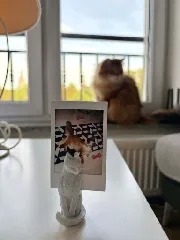 Sitting cat photo holder