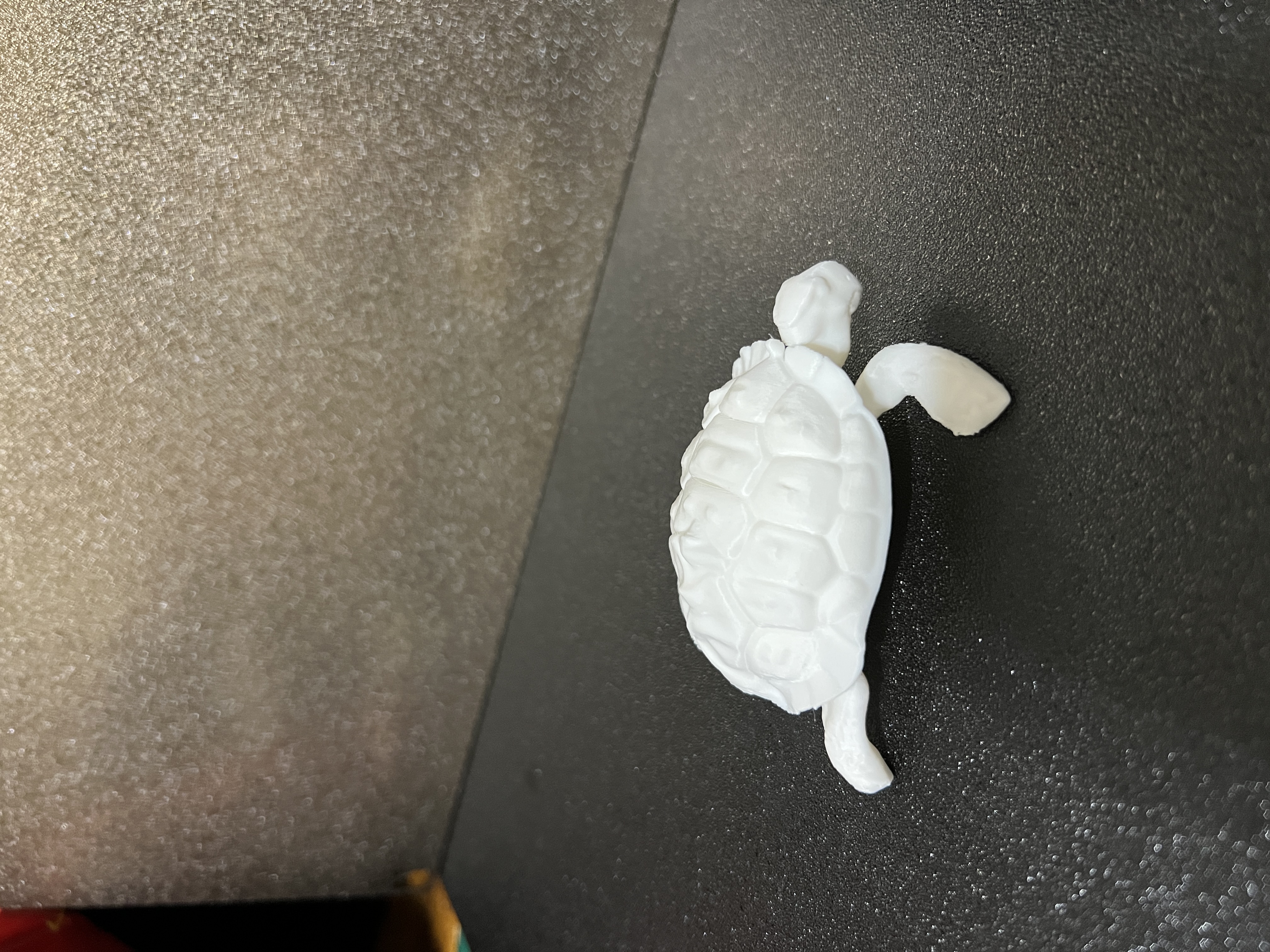 Tortoise — miniatura 2