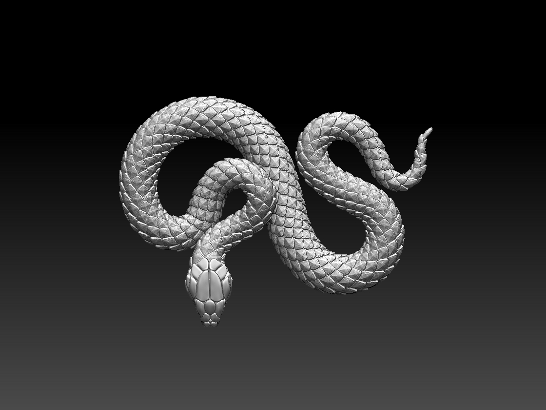 SNAKE