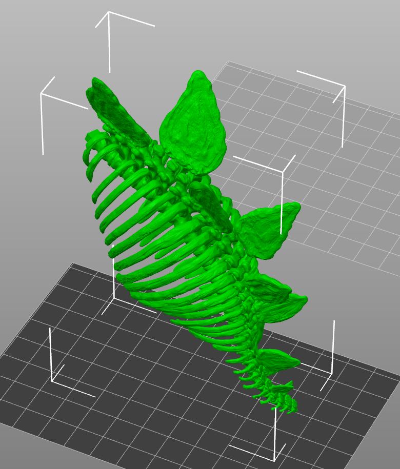 Pre assembled stegosaurus by Makerbot