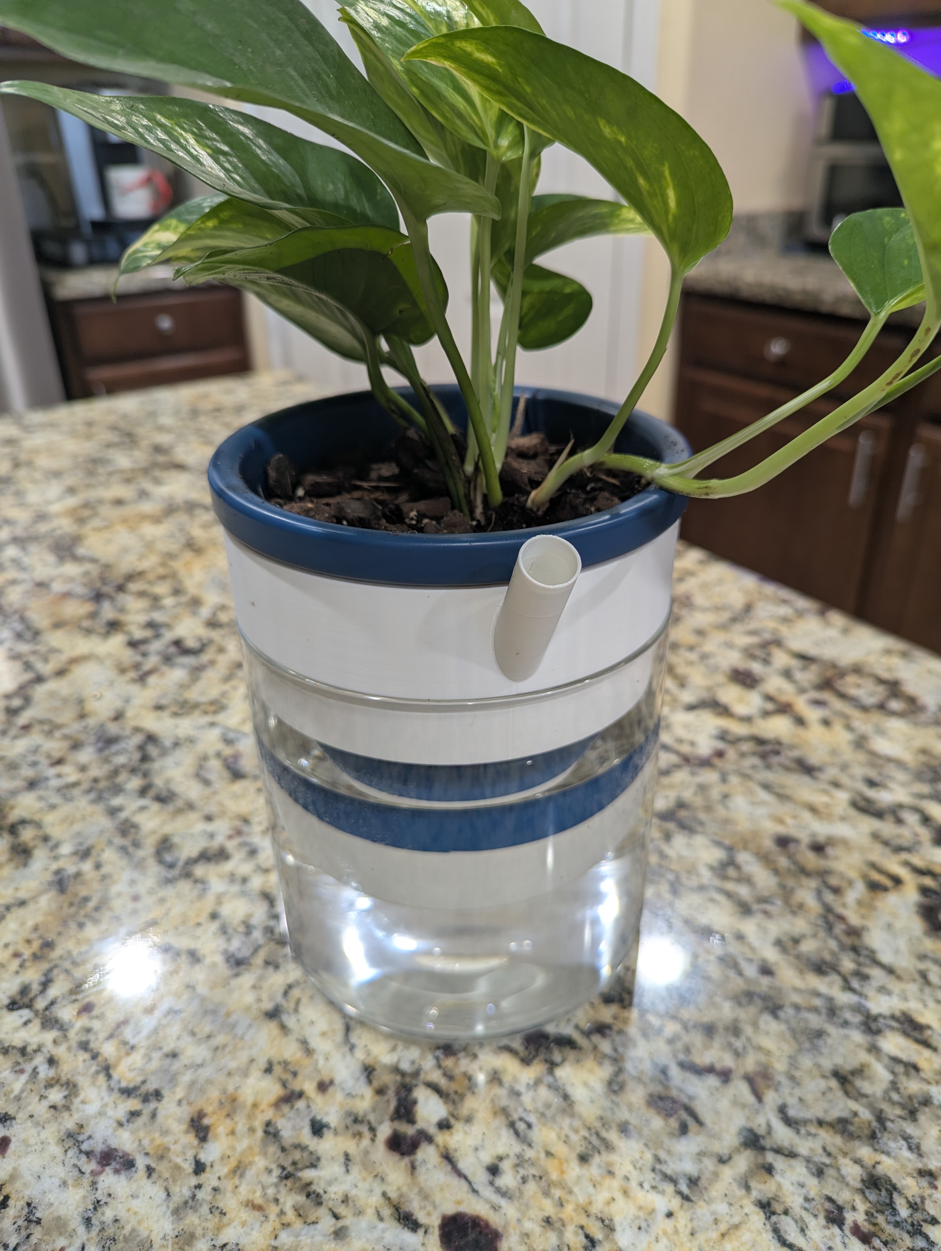 Watering Ring for the D'vine Self-Watering Planter