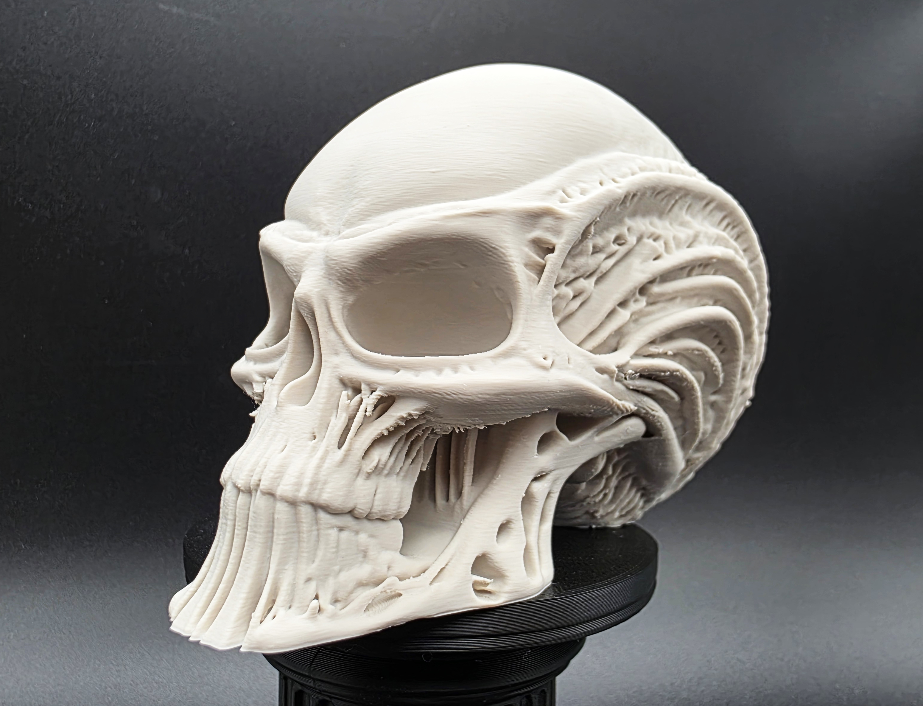 Skeletal Alien Head