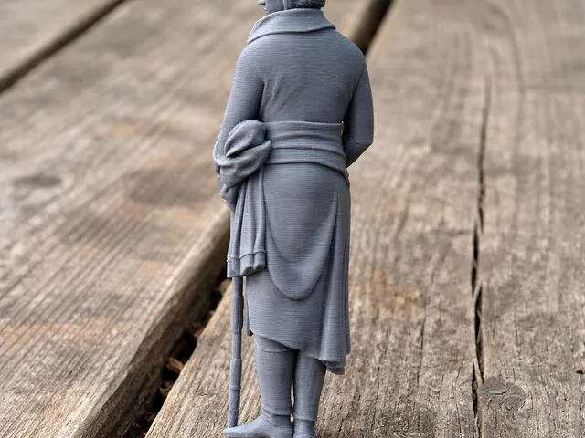 Jean Victor Moreau Napoleonic Soldier
