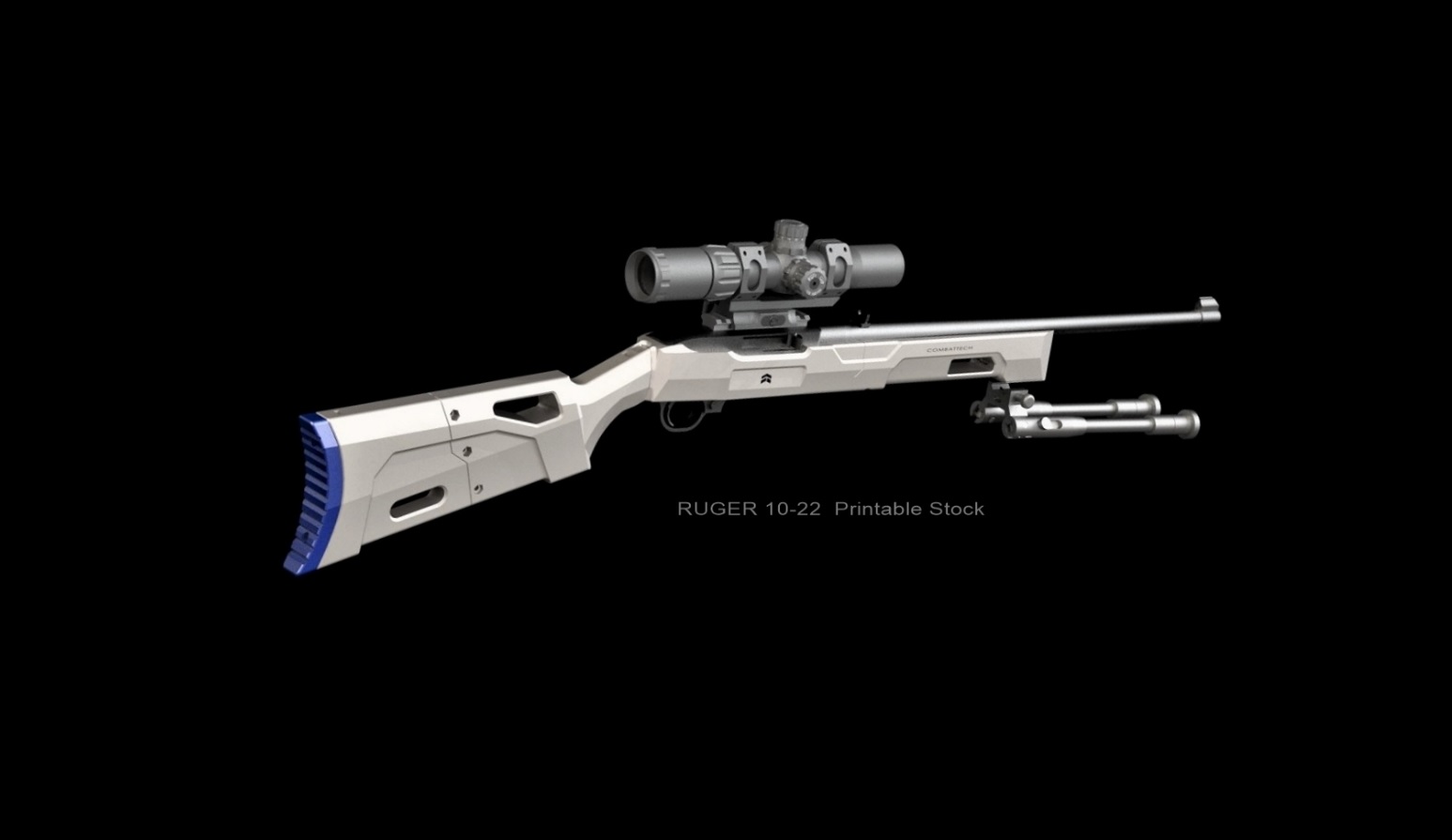 Ruger 10-22 External