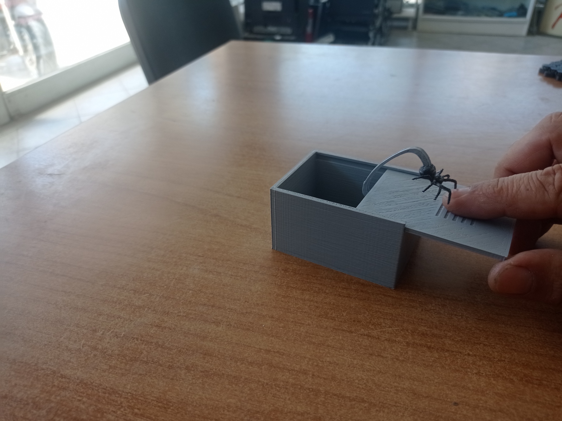 scare spider box — miniatura 6