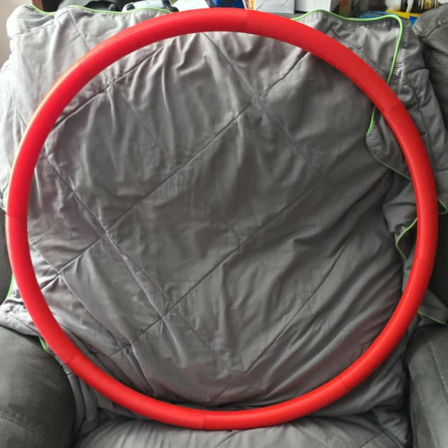 Pet Training Hula Hoop