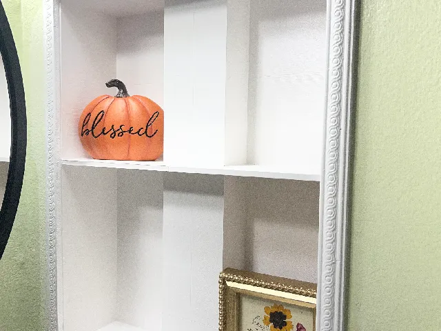 Medicine Cabinet Insert