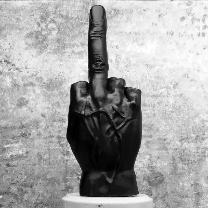 Middle Finger by Zein | Download free STL model | Printables.com
