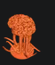 salinated elder brain