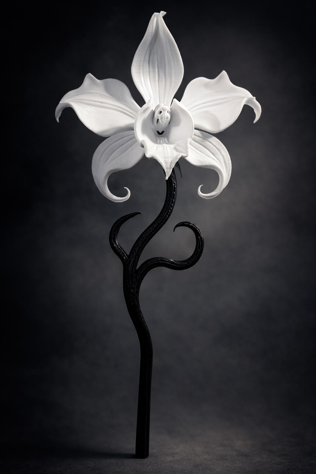 Decorative gothic-style orchid