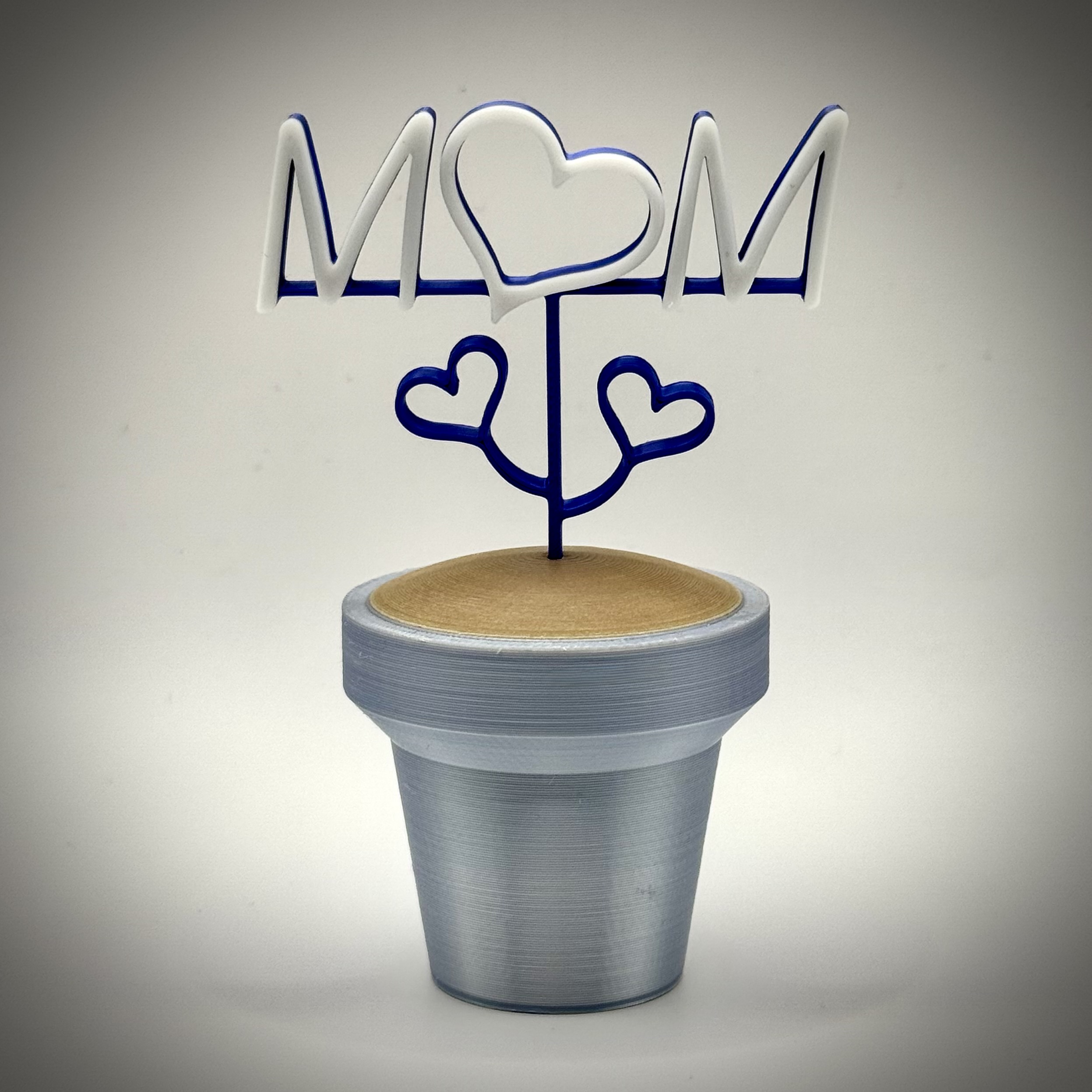 Mom Pot Plant
