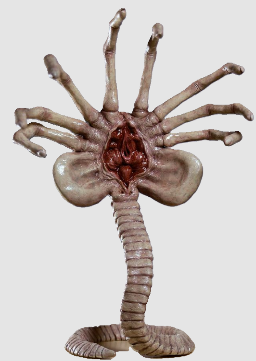 Face hugger Alien Baby