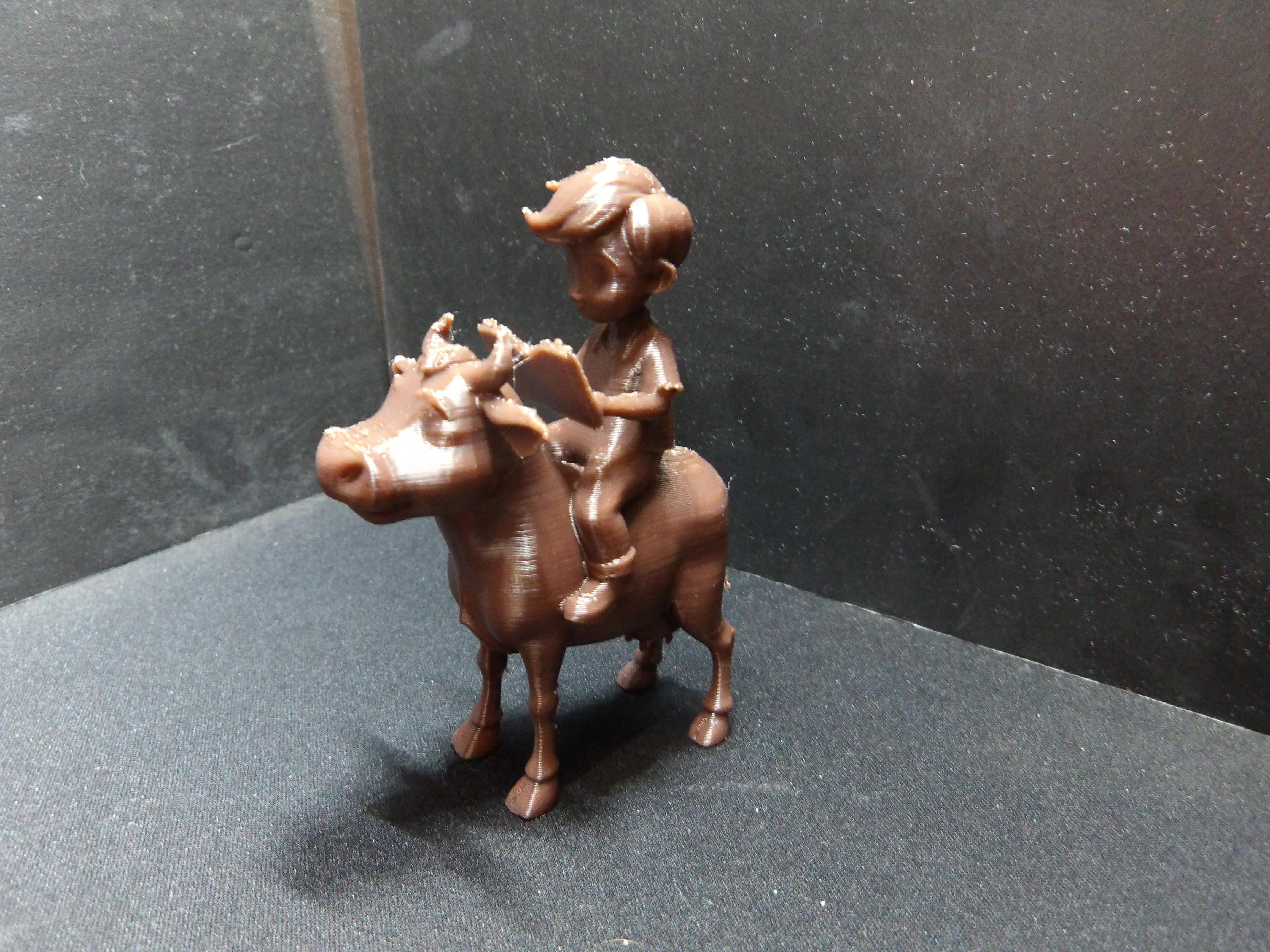 A young boy reading a book on a cow.