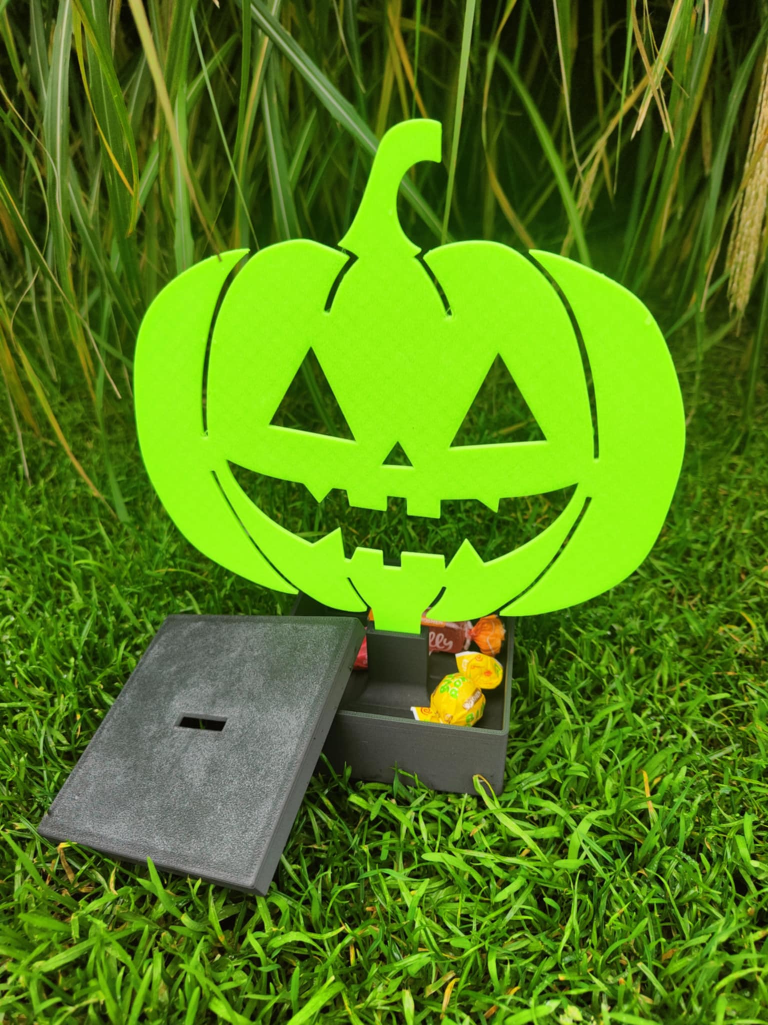 Hallowen Sweats Search Box