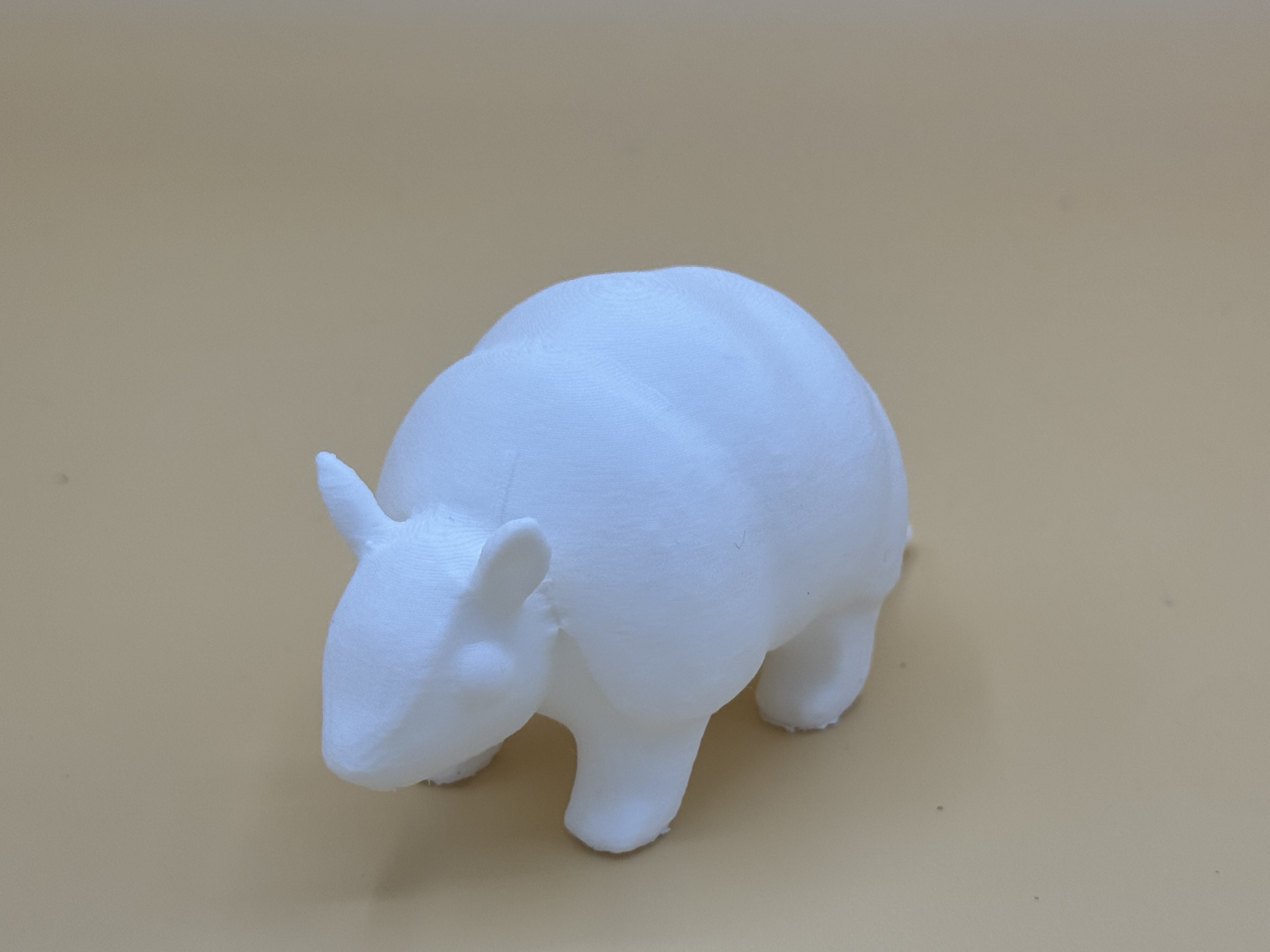 Cute Armadillo