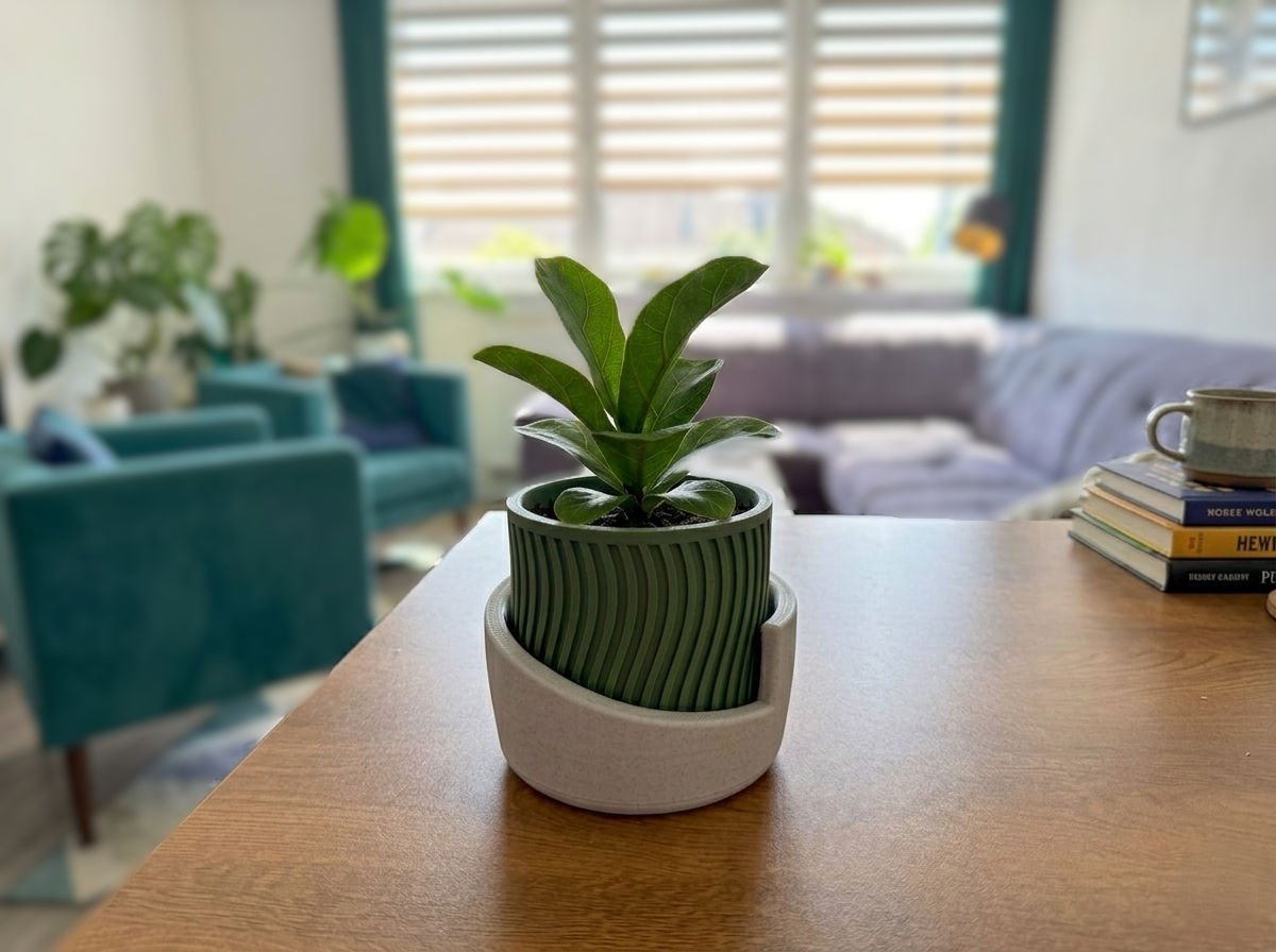 Japandi plant pot