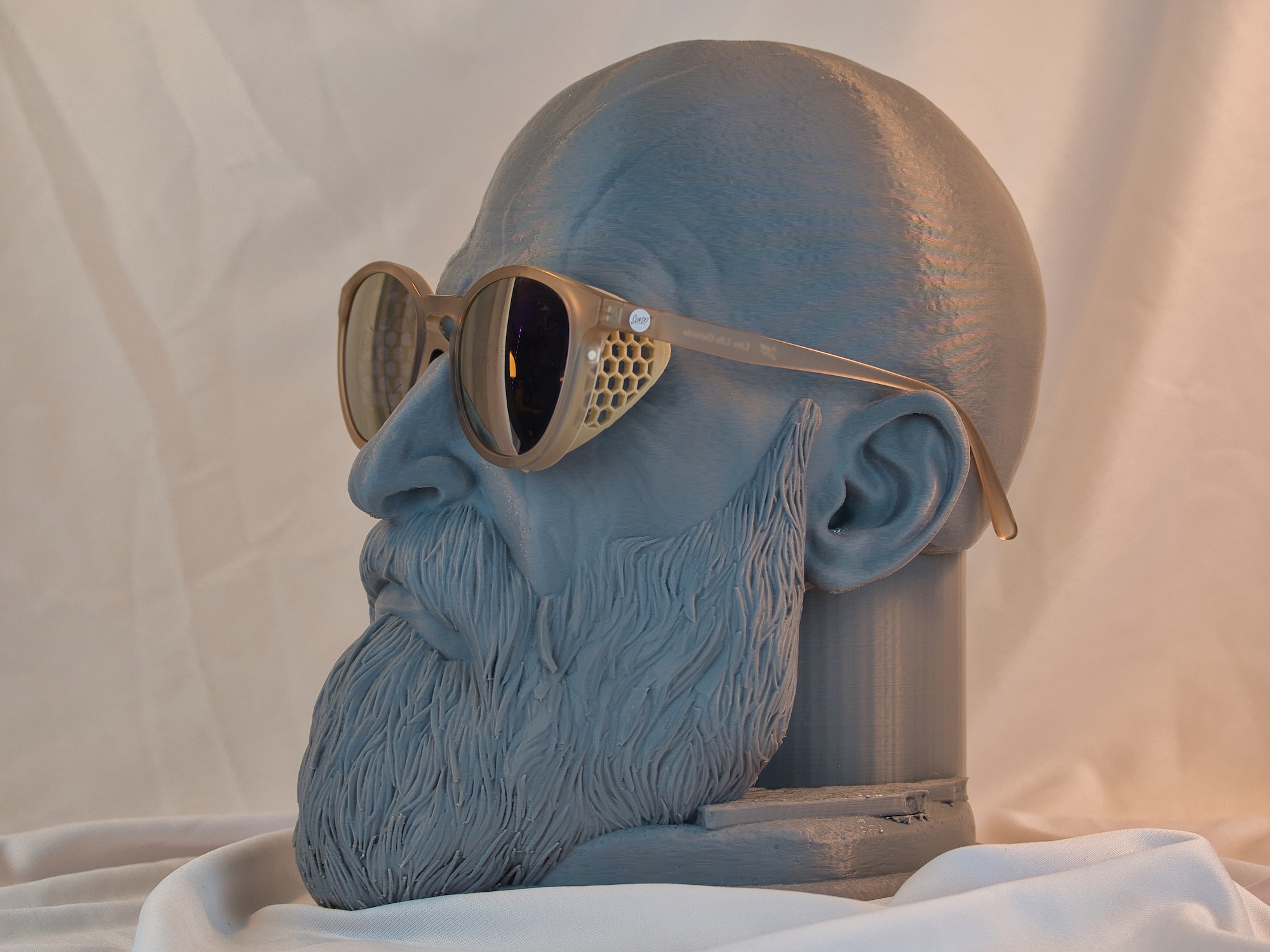 Sunglasses Sun Shields