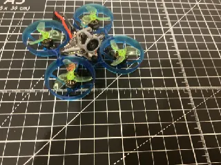 15 degree beeeye v2 whoop canopy