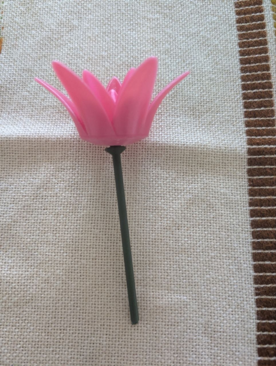 Fleur / Flower