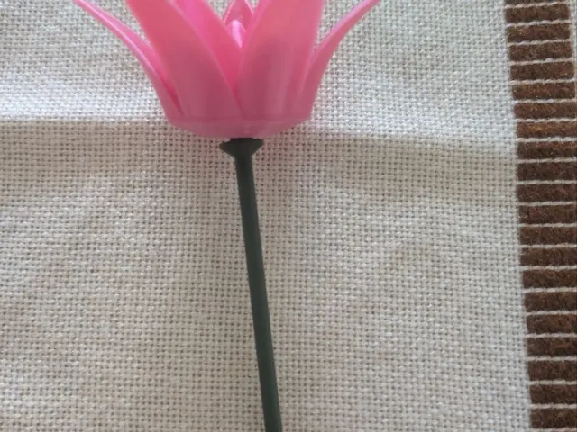Fleur / Flower