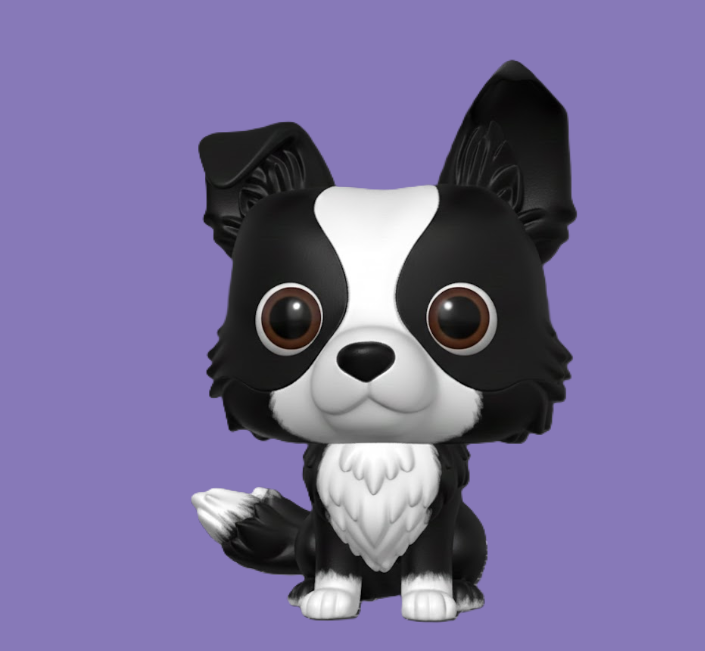 border collie