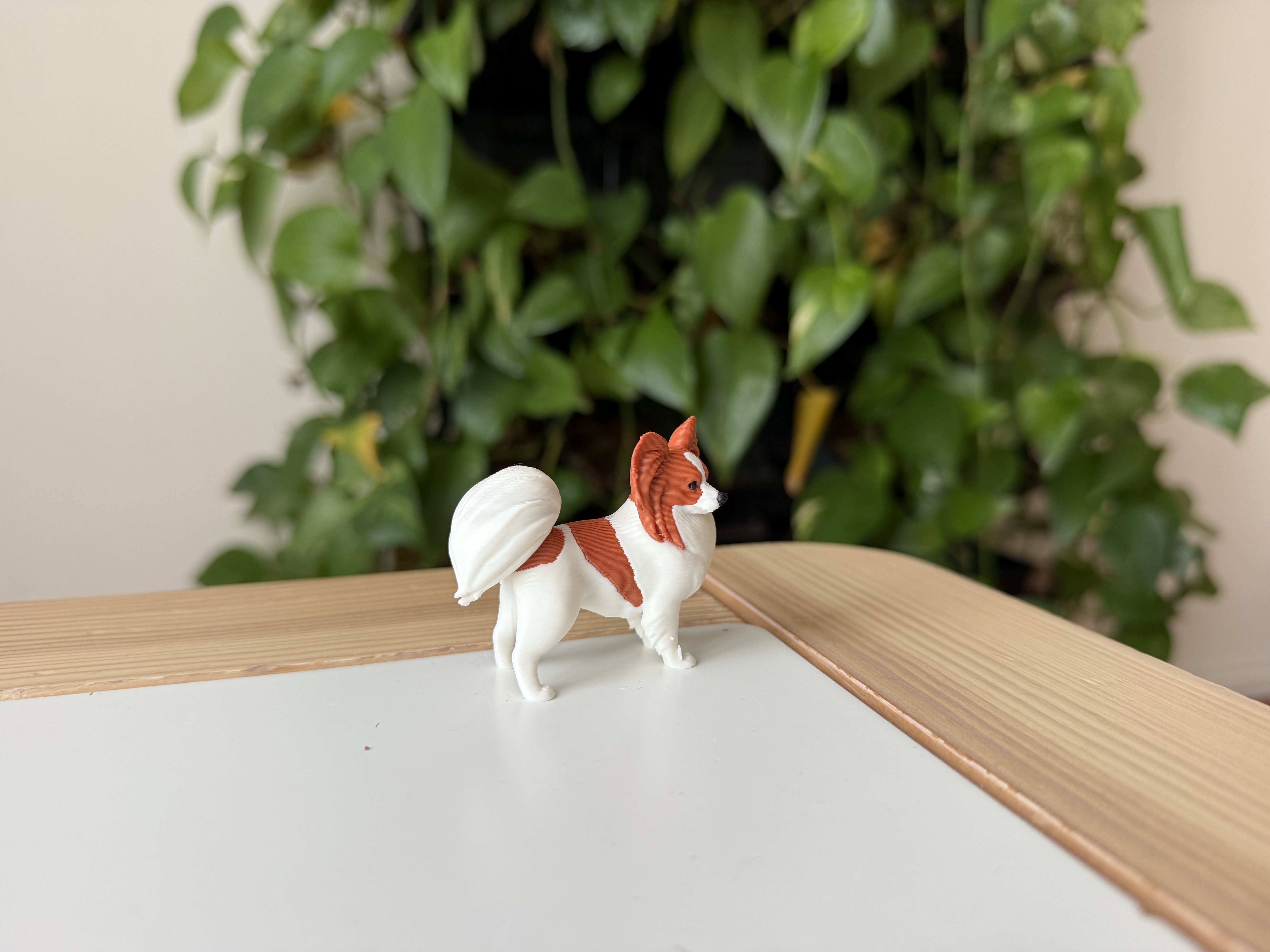 Miniatura 4 do modelo 3D Papillon