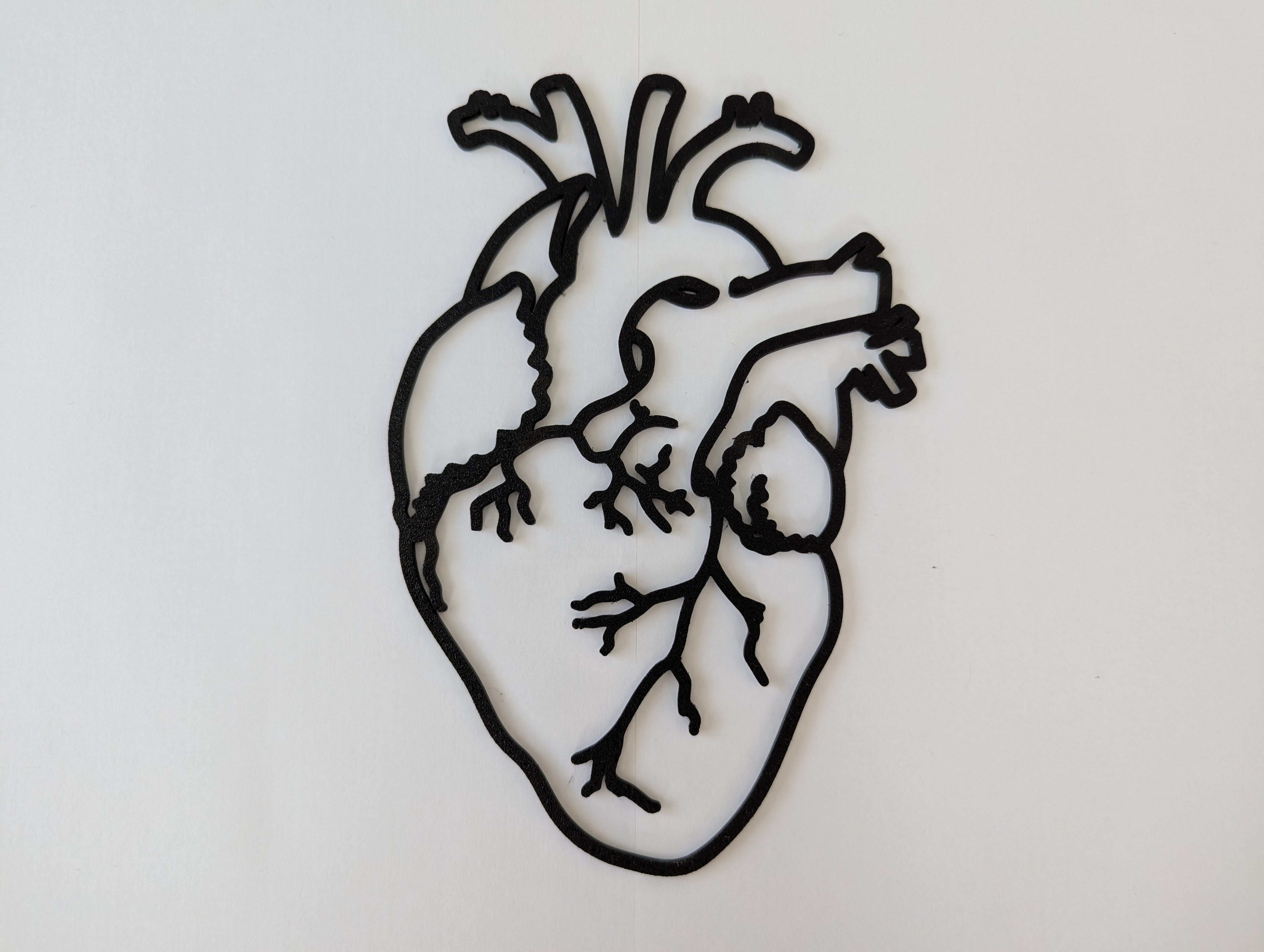 Human Heart Outline Model