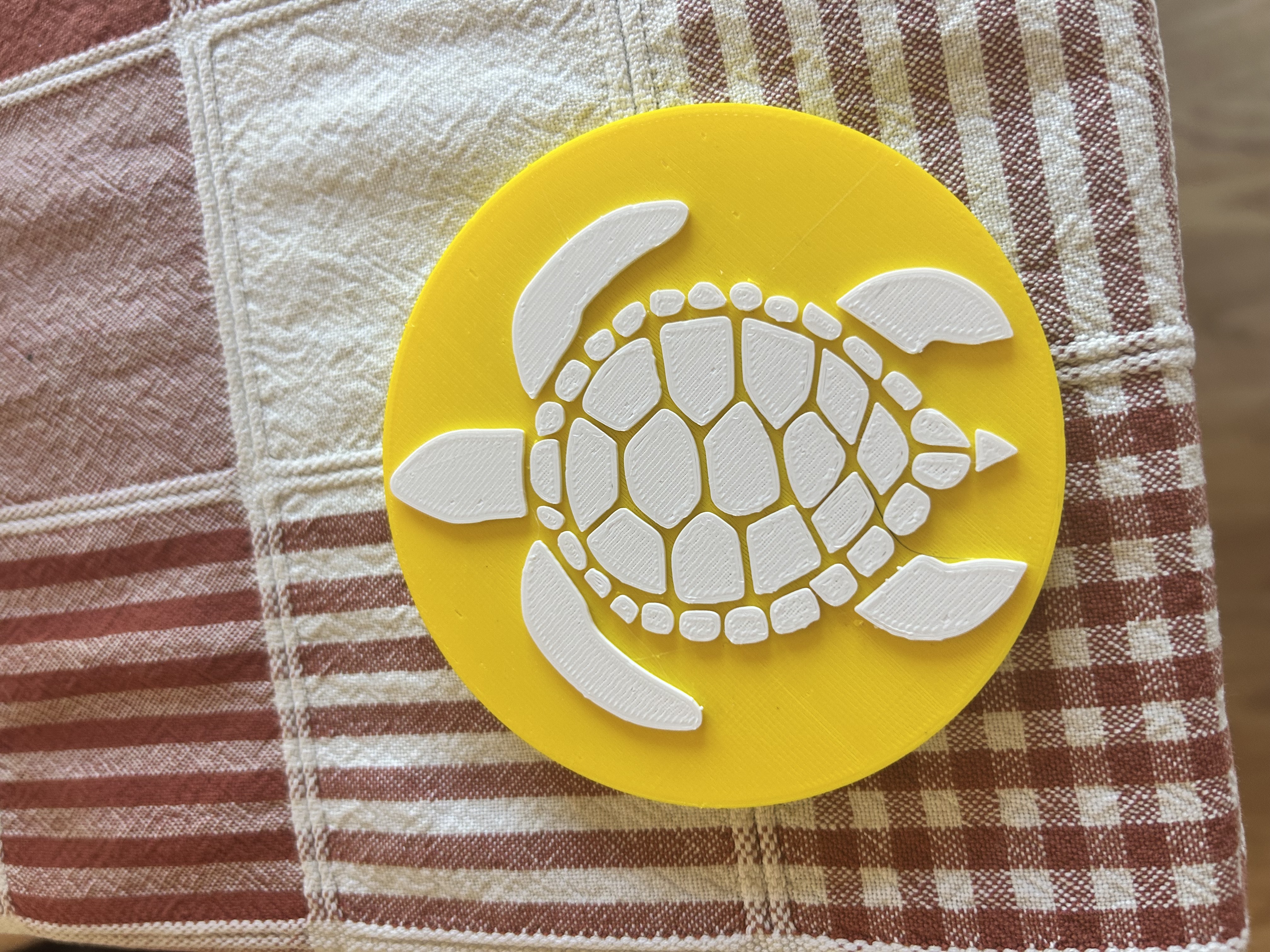 Turtle Coaster